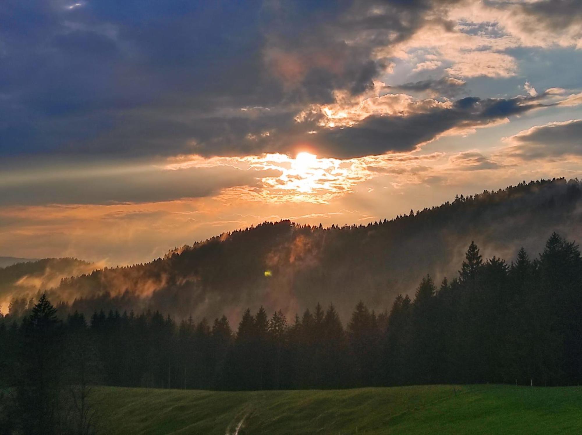Sonnen-Juwel - Hallenbad-Sauna-2 Getrennte Schlafbereiche-Direkt An Der Skipiste 米森-维尔哈姆斯 外观 照片