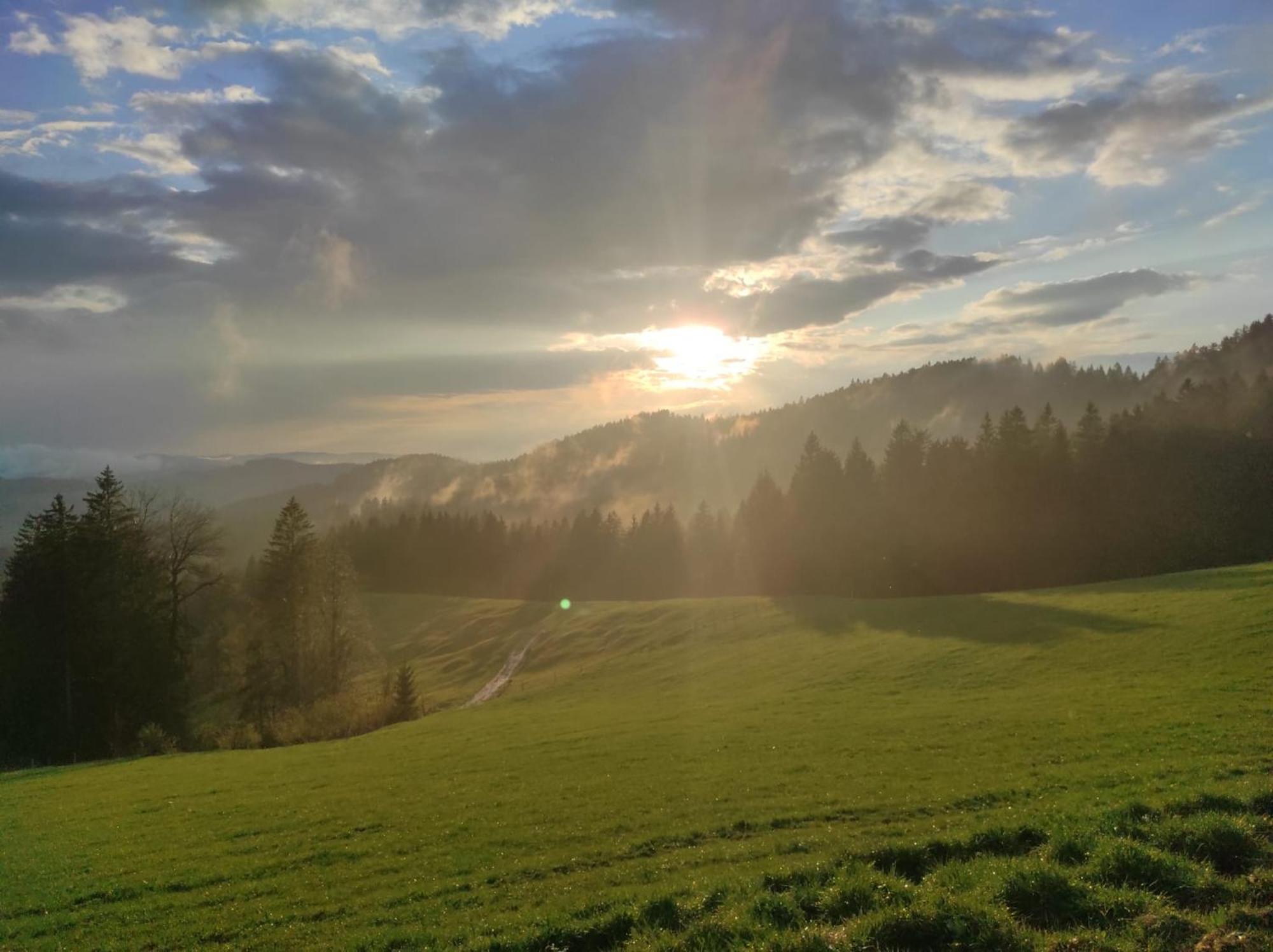 Sonnen-Juwel - Hallenbad-Sauna-2 Getrennte Schlafbereiche-Direkt An Der Skipiste 米森-维尔哈姆斯 外观 照片
