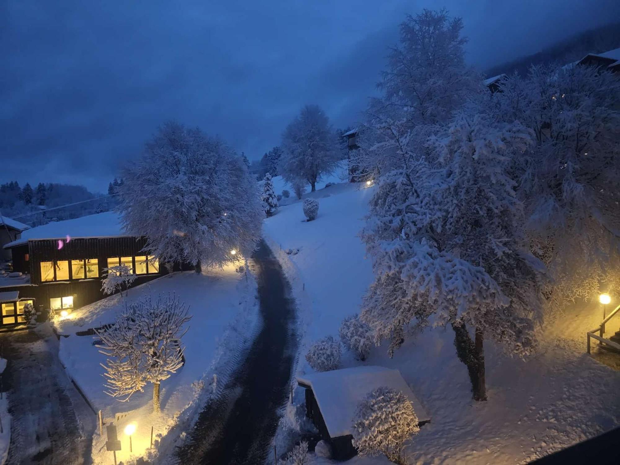 Sonnen-Juwel - Hallenbad-Sauna-2 Getrennte Schlafbereiche-Direkt An Der Skipiste 米森-维尔哈姆斯 外观 照片