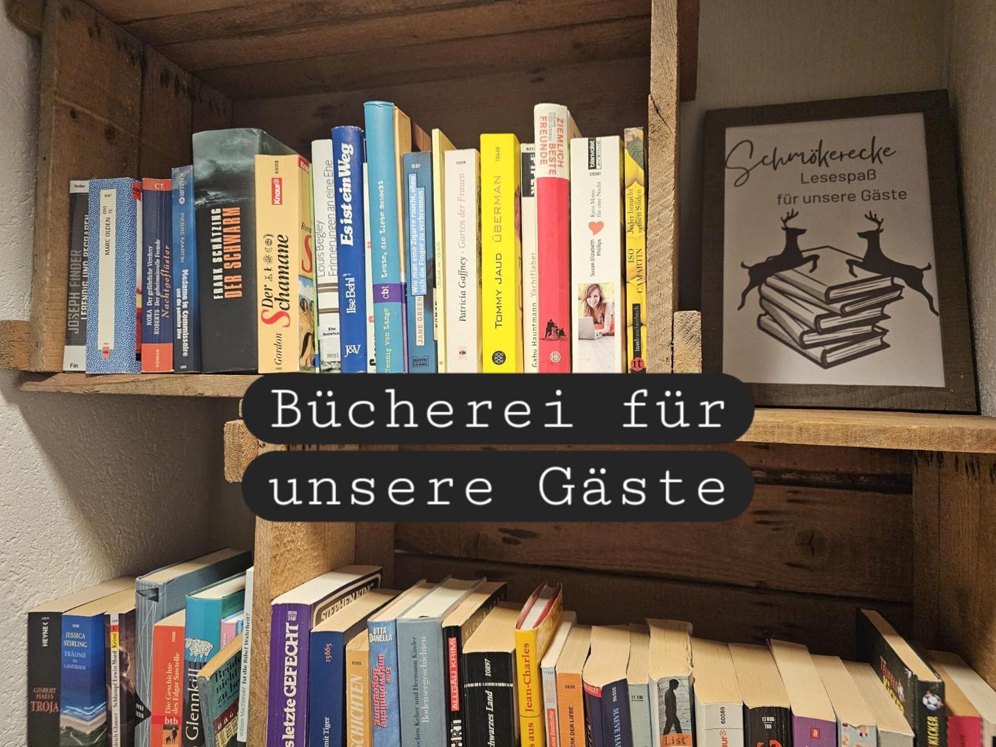 Sonnen-Juwel - Hallenbad-Sauna-2 Getrennte Schlafbereiche-Direkt An Der Skipiste 米森-维尔哈姆斯 外观 照片